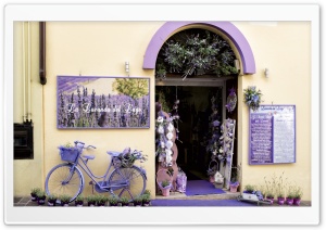 Lavender Shop