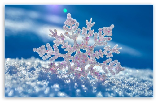 Download Snowflake UltraHD Wallpaper