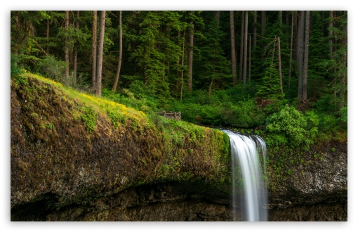 Download Forest, Waterfall, Nature UltraHD Wallpaper