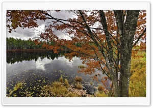 Nova Scotia, Canada, Autumn