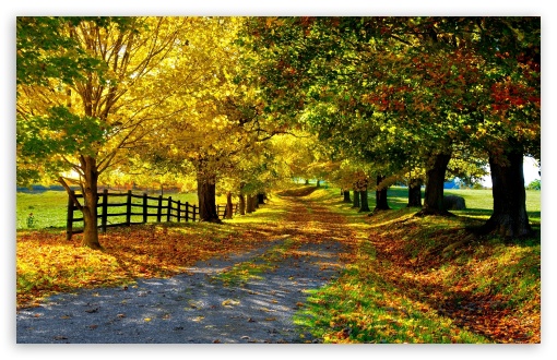 Download The Most Beautiful Autumn UltraHD Wallpaper