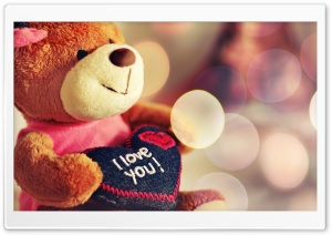 I love You Teddy Bear