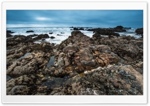 Pescadero State Beach,...