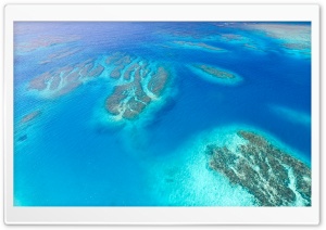 Coral Reef Aerial View