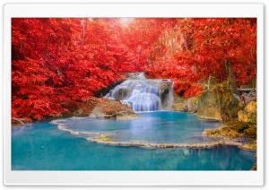 Red Forest, Waterfall,...