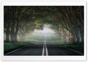 The Most Beautiful Road in...