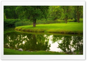 Nature, River, Park, Lawn Grass