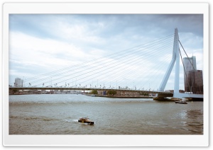 Erasmus Bridge, Rotterdam,...