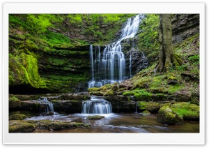 Moss Waterfall Rocks