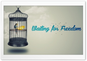 Waiting for Freedom