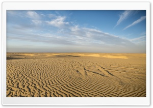 Tunisian Desert