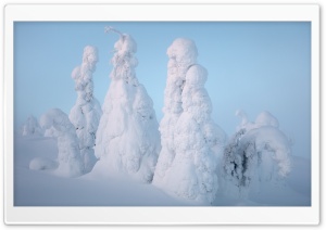 Lapland Winter Snow