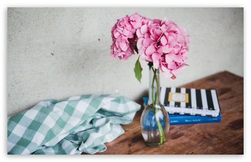 Download Pink Hydrangea Flowers in Vase, Table UltraHD