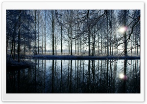 Reflection In Kromme Rijn River