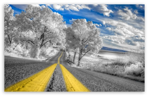Download White Infrared Pennsylvania Landscape UltraHD Wallpaper