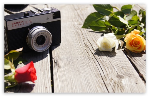 Download Old Camera and Roses UltraHD Wallpaper