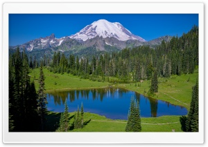 Landscape, Tipsoo Lake, Mt....