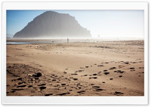 Cold Morning On The Beach