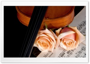 Violin And Peach Roses