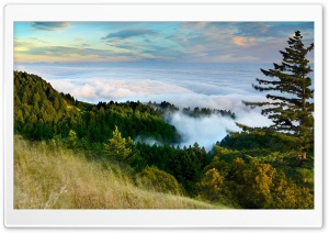 Slope Of Mountain Forest Clouds