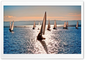 Dinghy Sailing