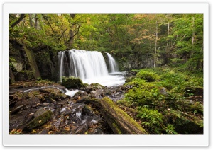 Forest Waterfalls, HDR