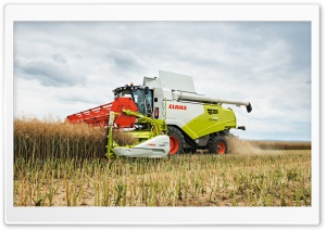 Claas Tucano 580 harvesting