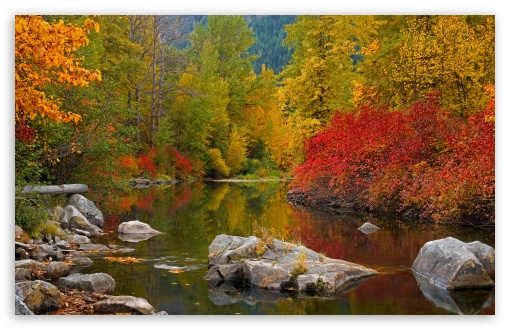 Download Nason Creek Stevens Pass Washington UltraHD Wallpaper