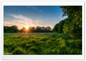 Meadow Sunset.