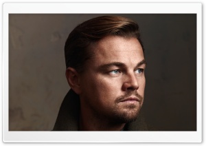 Leonardo DiCaprio Aesthetic