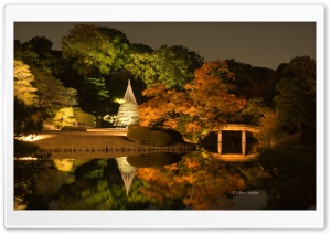 Japanese Garden at Night