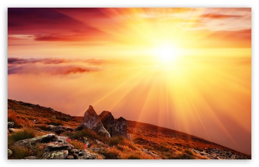 Download Morning Sun UltraHD Wallpaper