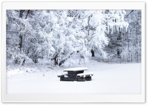 Snow Covered Picnic Table,...