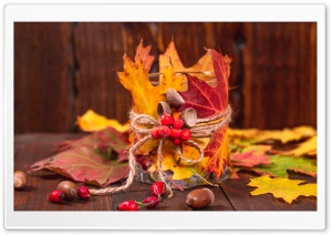 Autumn Leaves, Rowan berries,...