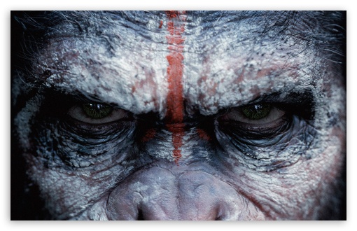 Download Dawn of the Planet of the Apes Caesar UltraHD Wallpaper