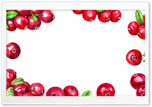 Cranberries Thanksgiving...