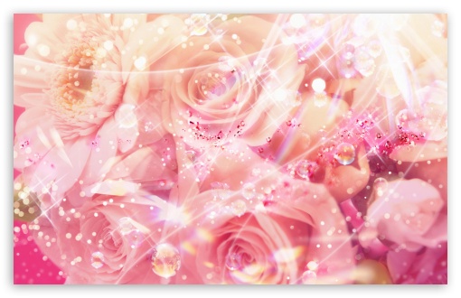 Download Magic Roses UltraHD Wallpaper