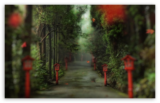 Download Alley In The Forest UltraHD Wallpaper