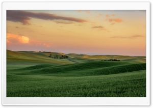 Green Wheat Fields near...