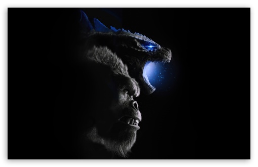 Download Godzilla x Kong The New Empire 2024 Movie UltraHD Wallpaper