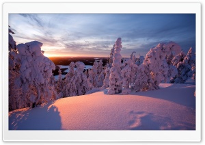 Winter, Lapland, Finland