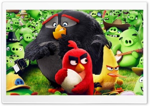 Angry Birds Animation Movie
