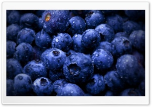 Blueberries