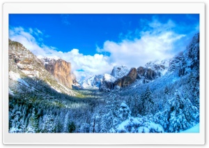 Yosemite Snow Valley