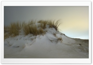 Snow Dunes in Hook of Holland
