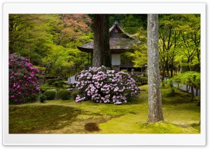 Peaceful Asian Garden
