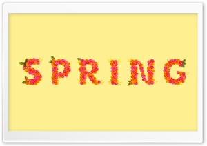Spring Word