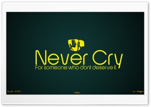 Never Cry For Someone Who...
