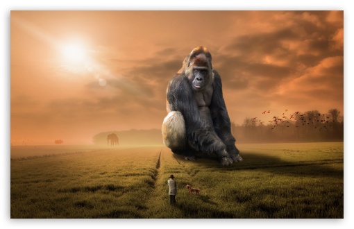 Download The Giant Gorilla UltraHD Wallpaper