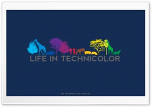 Life In Technicolor